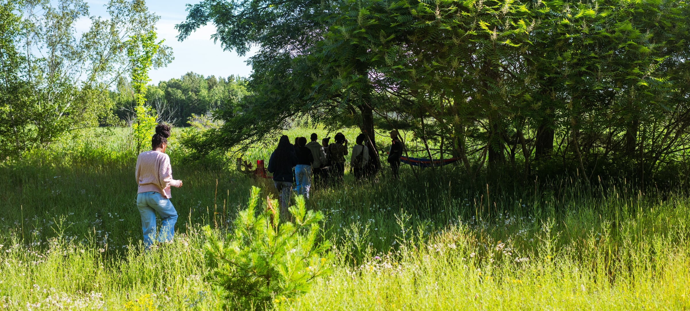 Michigan Tech College of Forest Resources and Environmental Sciences students in an outdoor field lab surrounded by trees in the fall.