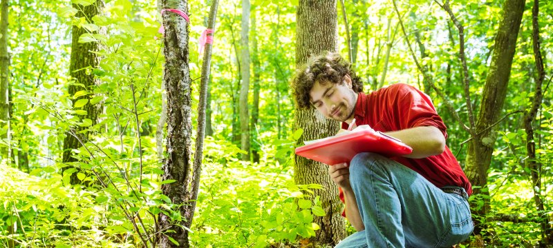 Abe Stone crouched down next to a buckthorn plant making notes on a clipboard.