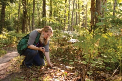 Tara Bal digging through leaf litter on the forest floor.