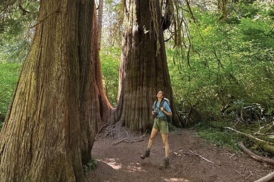 Allyson McQuiston looking up at huge trees.