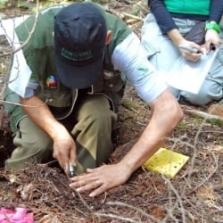 international soil carbon network