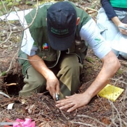 international soil carbon network