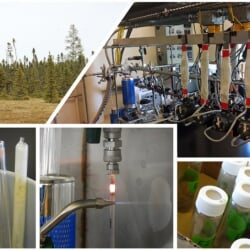 Radiocarbon Collaborative