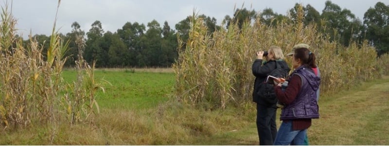 Bird watchers.