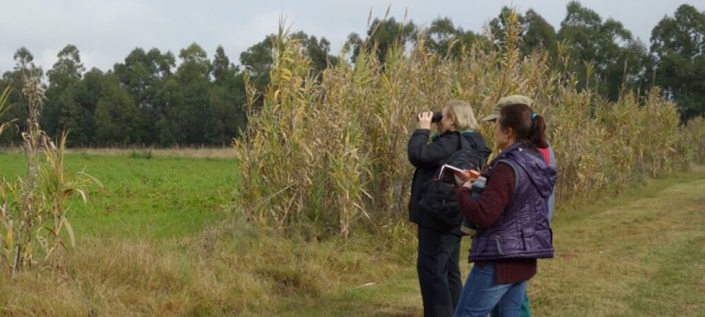 Bird watchers.