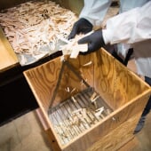 composite strand sorting