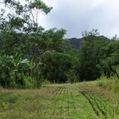 Hawaii field test site