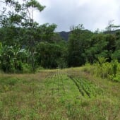 Hawaii field test site