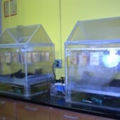 Mold Test method 1