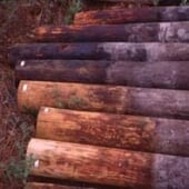 posts pulled from the ground