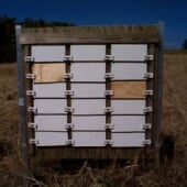 siding exposure in the field