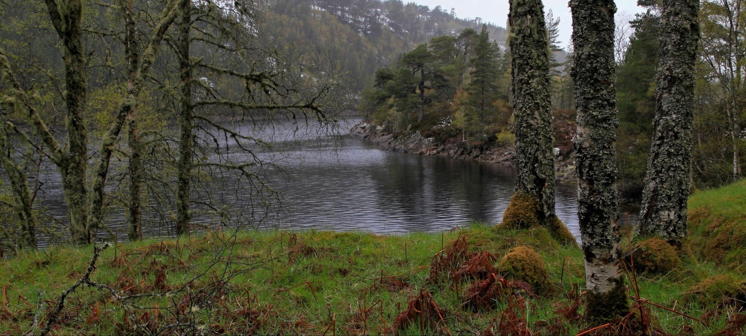 Geln Afric in Scotland