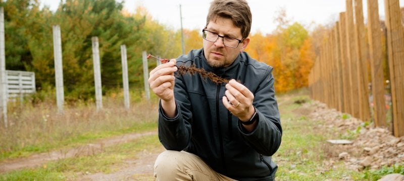 Researcher holding red oak seeding in his hands