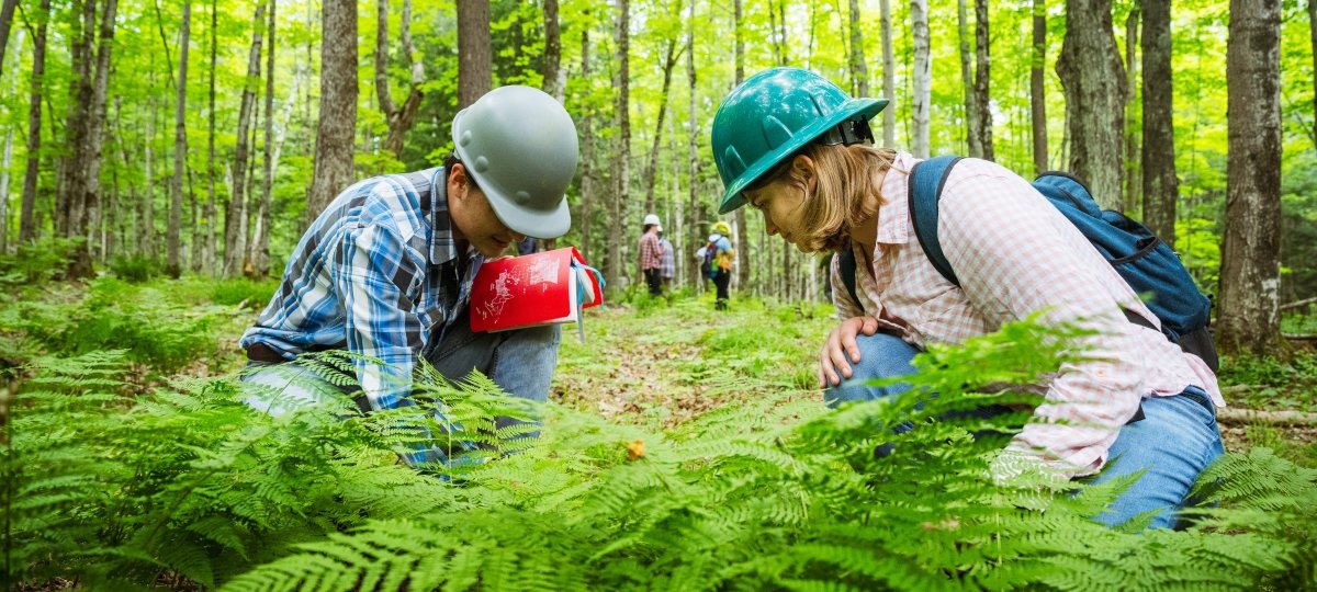 Students with hard hats kneeling in the woods at the Ford Center taking measurements.