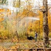 Rain simulation demostration in the woods during fall