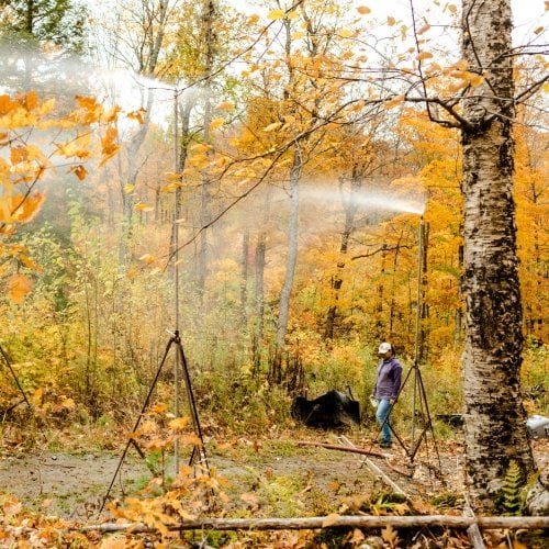 Students in the woods simulating rain.