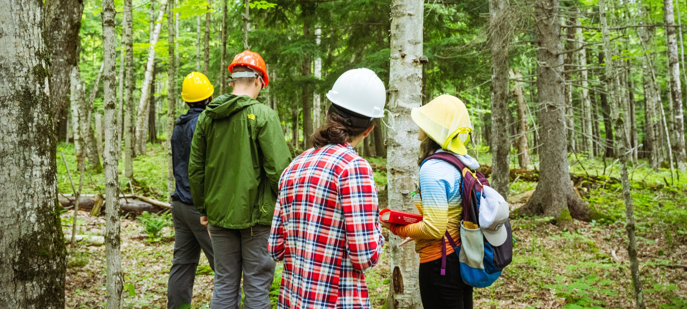 A group of people a wooded area studying the environment around them