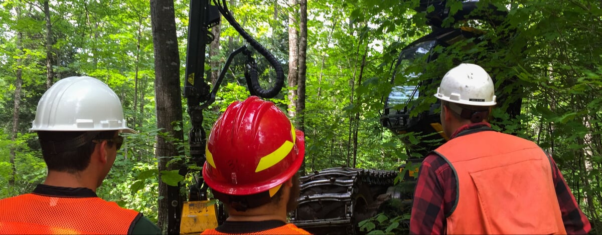 logging FERM