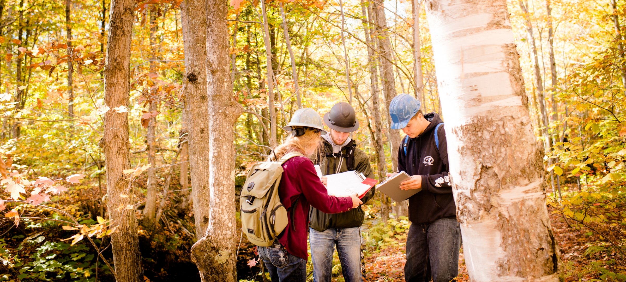 Three students with hard hats looking at clipboards in the forest.