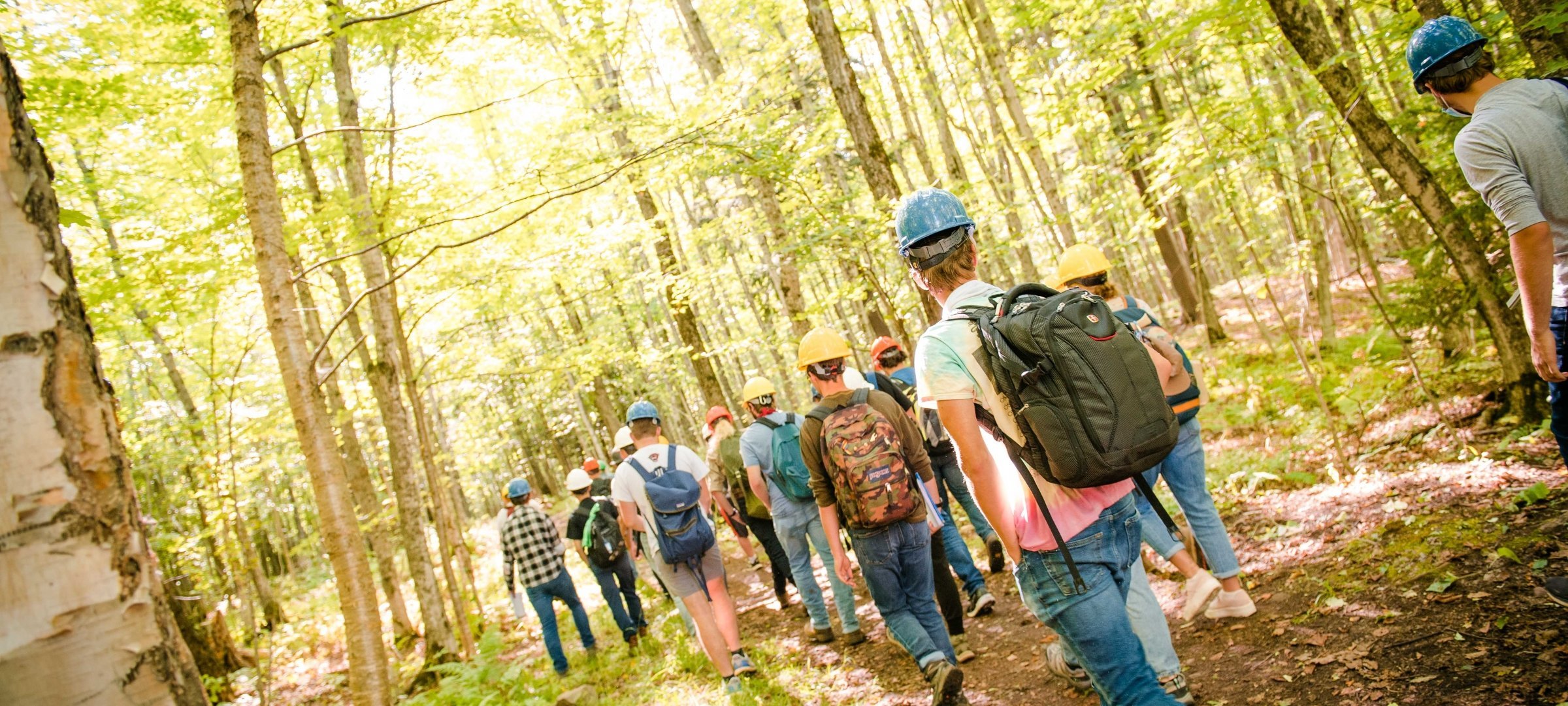 Natural Resources Management students walking in the forest with hardhats and backpacks