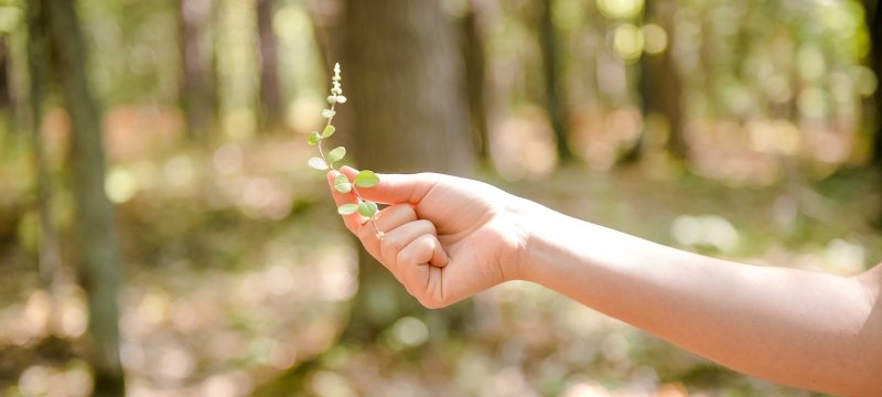 Student holding plant