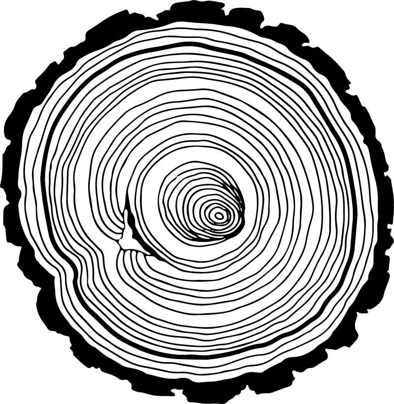 Graphic of wood cookie: Oak