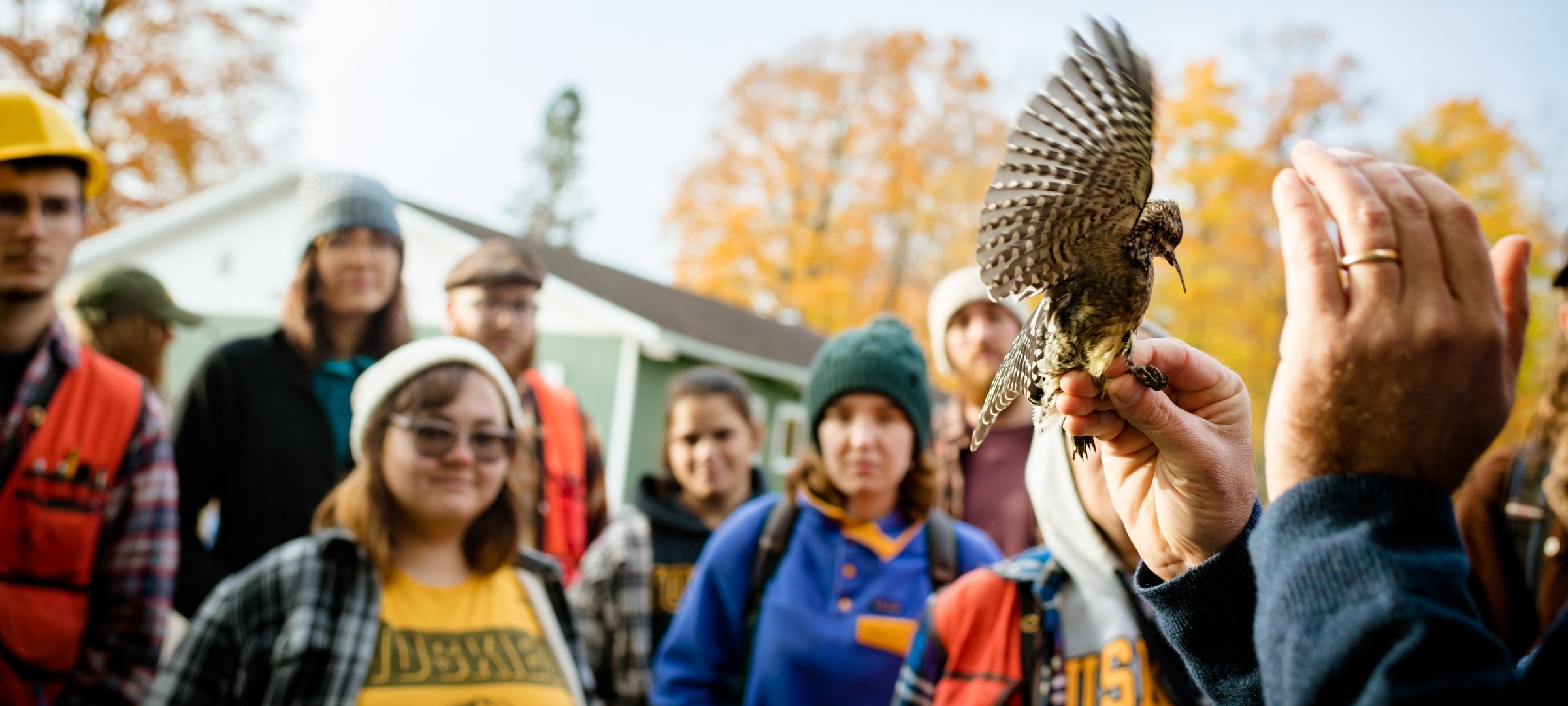 Wildlife and Ecology students watching a bird being released during a field exercise.