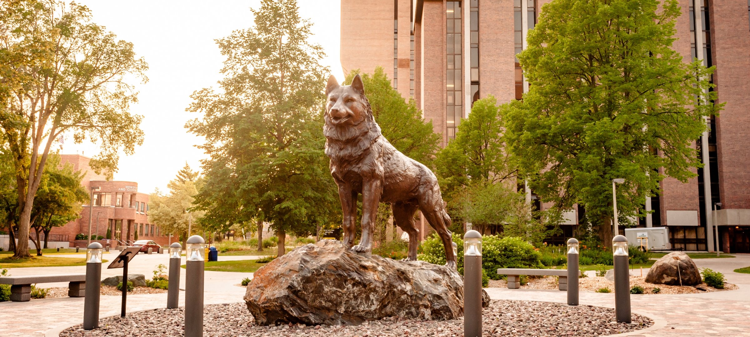  Husky Statue