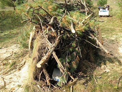 Large piles of tree trunks and branches.