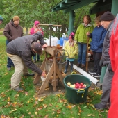Bucket of apples and apple press