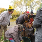 Making apple cider