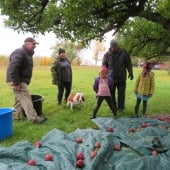 Adults and kids by apple tree