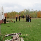 Graduate students talking by farm animals