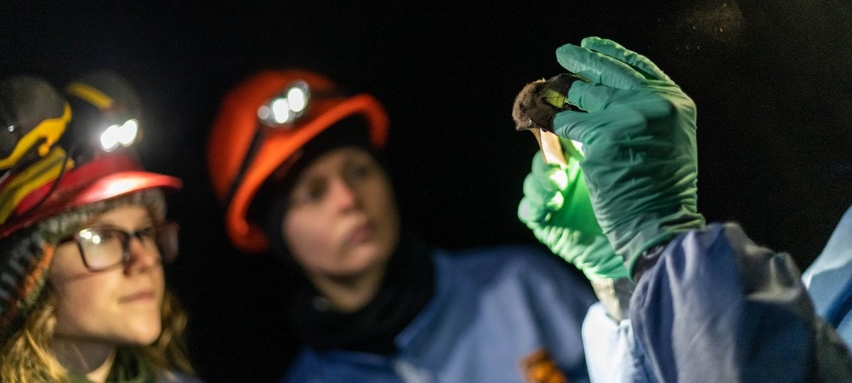 Researchers inside Mead Mine with hard hats looking a samples