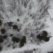 Drone Image 5