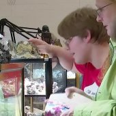 Student looking at rock specimens.