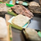 Rock samples on a table in boxes