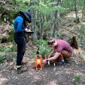 Two geophysics researchers in the forest taking samples