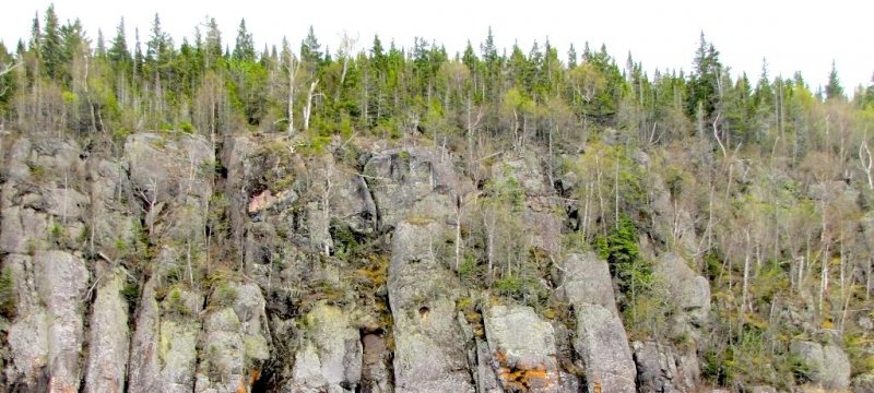 Shore Cliffs