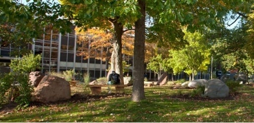 Student sitting on a bench in the boulder garden.