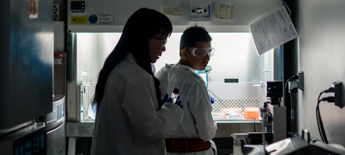 Two people working in a lab.