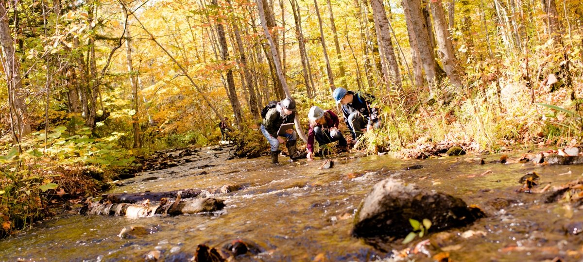 Researchers collecting samples from a stream.