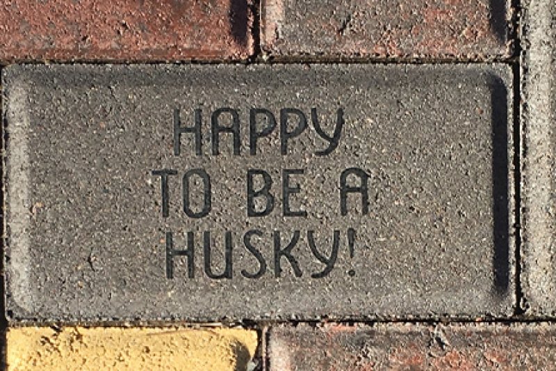 Brick paver stone reading "Happy to be a Husky!"