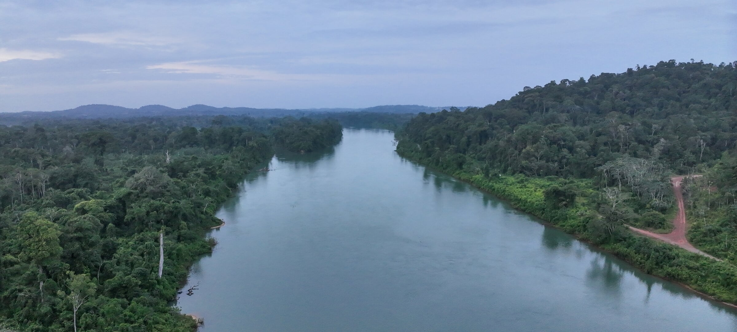 Overhead drone view of a river and a very green rainforest in Suriname