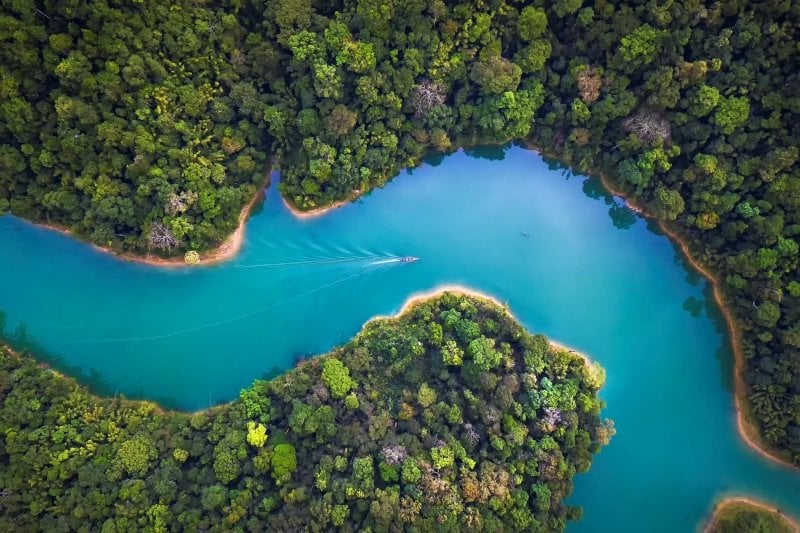 overview of river winding through a forested area