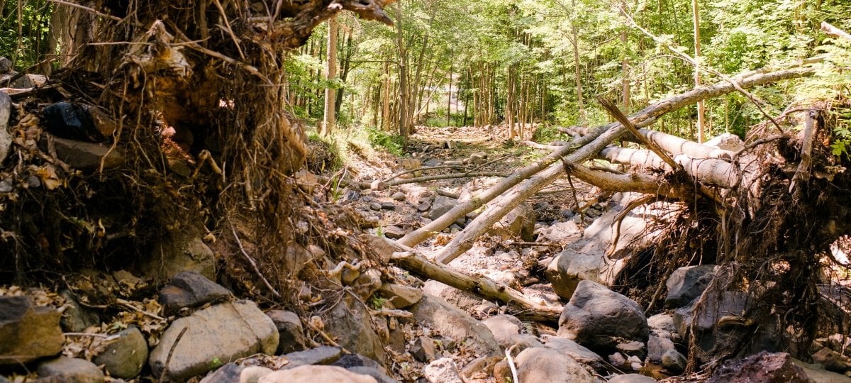 Landscape with strewn rocks, uprooted trees, and other flood damage.