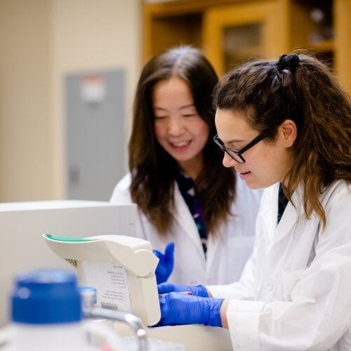 Graduate student and Faculty collaborating in lab safety gear in a lab