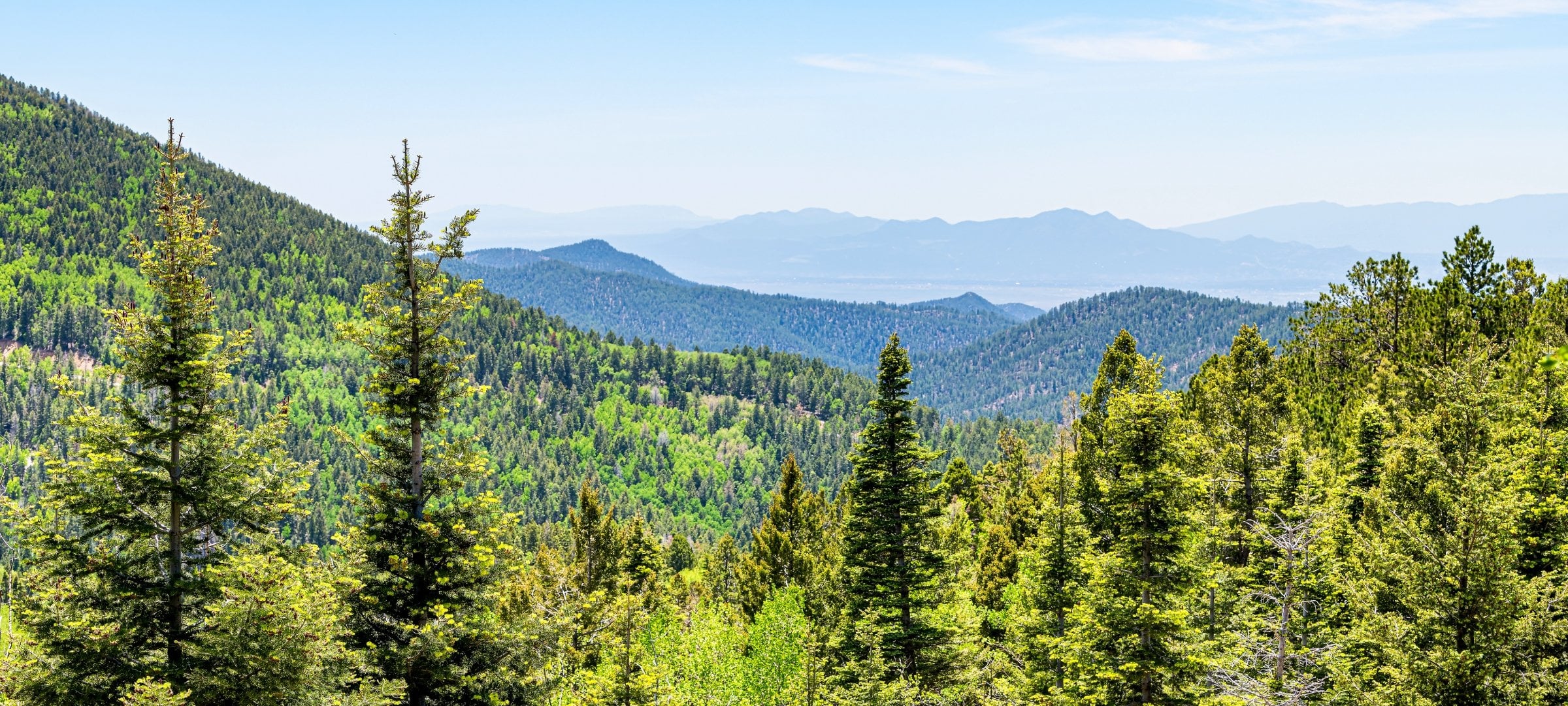 Forested Sangre de Cristo Mountains