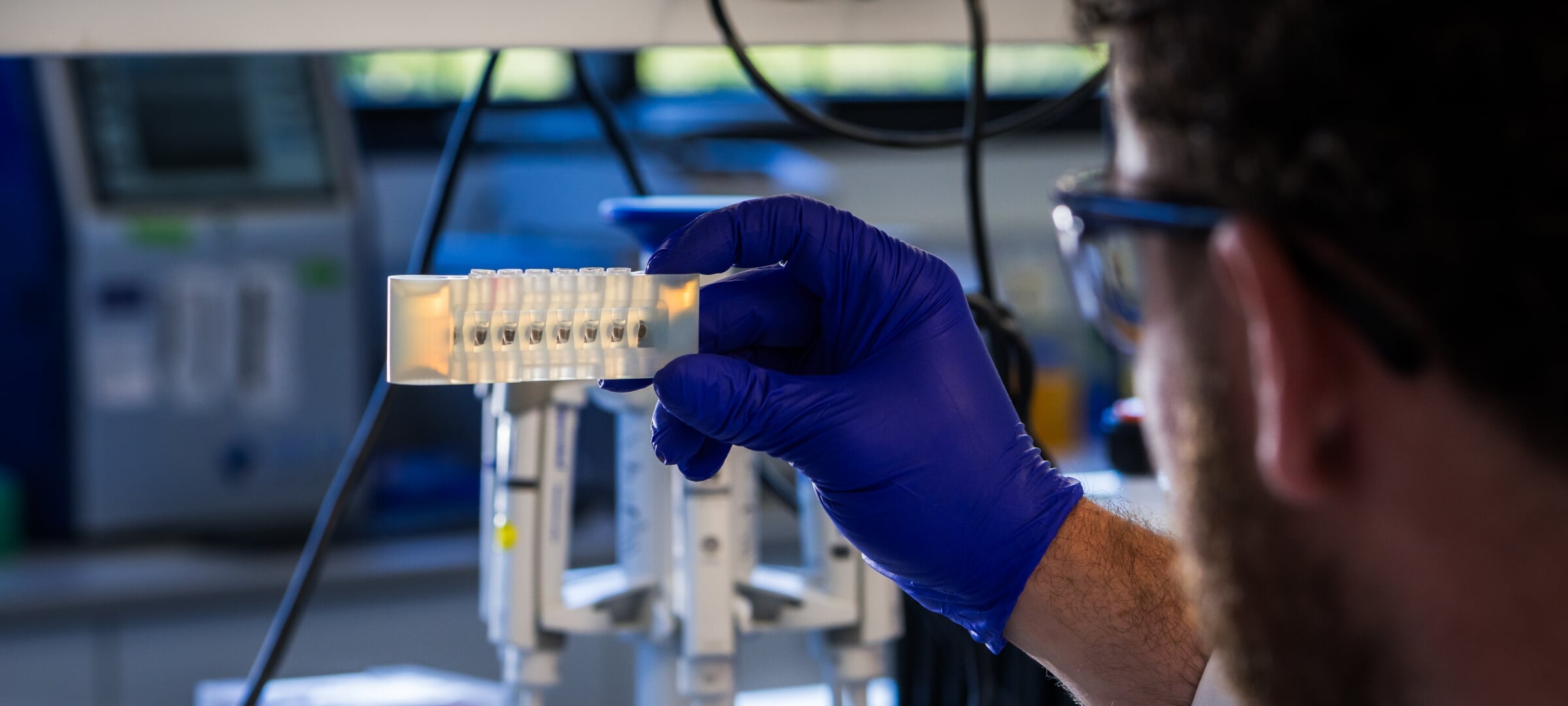 Graduate student looking at results in a lab.