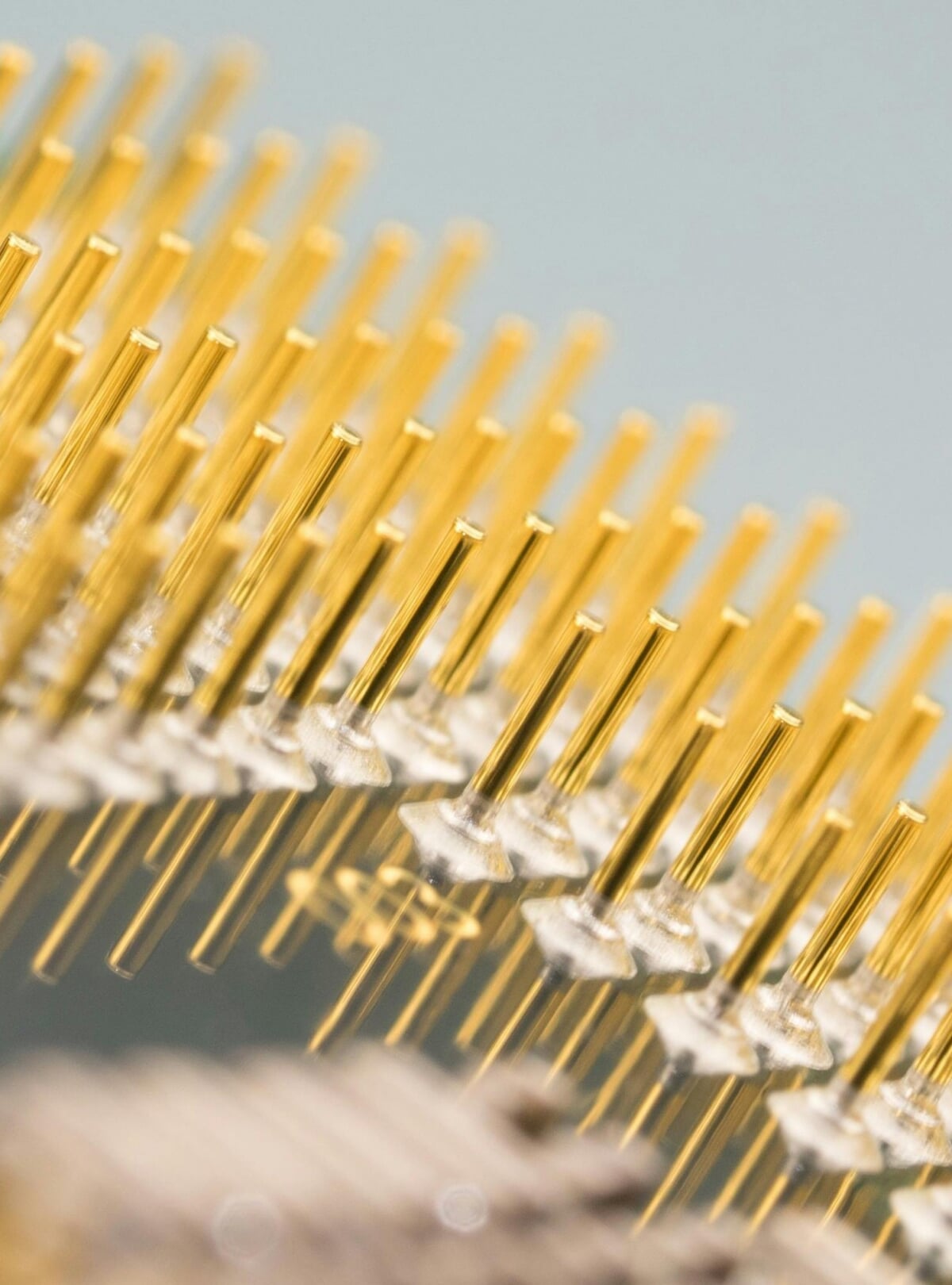 close up of gold nanotubes on a card